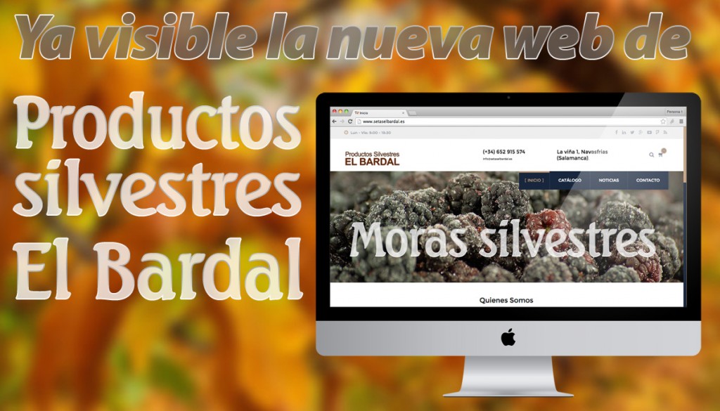 Tras un periodo de creación web, hemos puesto ya en marcha la página web del negocio 'Productos Silvestres El Bardal